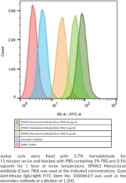 Sphingosine Kinase 2 Monoclonal Antibody (Clone 7B3) (SK2, SPHK2, SPK2)