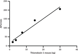 Thioredoxin 1 (mouse, recombinant; His-tagged)