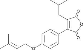 Antrodin A (Camphorataanhydride A, CAS Number: 656830-24-9)