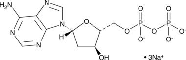 2'-Deoxyadenosine-5'-O-diphosphate (sodium salt) (dADP, 2'-deoxy-ADP, CAS Number: 402491-35-4)