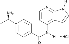 Y-33075 (hydrochloride) (RKI-983, SNJ-1656, Y-39983, CAS Number: 471843-75-1)