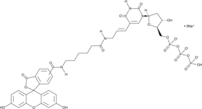 Fluorescein-12-dUTP (FITC-12-dUTP)