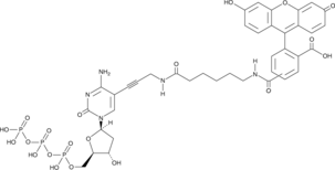 Fluorescein-12-dCTP (Fluorescein-12-2’-deoxycytidine-5’-O-triphosphate)