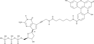 Fluorescein-12-dGTP (Fluorescein-12-2'-deoxyguanosine-5'-triphosphate)