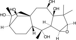 Rhodojaponin III (CAS Number: 26342-66-5)