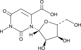 Orotidine (Orotic Acid riboside, 6-carboxy Uridine, CAS Number: 314-50-1)