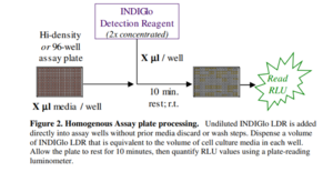 INDIGlo Luciferase Detection Reagent Kit