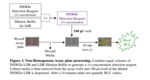INDIGlo Luciferase Detection Reagent Kit
