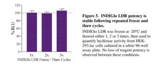 INDIGlo Luciferase Detection Reagent Kit