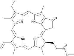 Pyropheophorbide a methyl ester (Methyl pyropheophorbide a, NSC 267052, PPME, CAS Number: 6453-67-4)