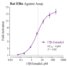 Rat Estrogen Receptor Alpha Reporter Assay System (nr3a1, rERα, Rat ESR1)