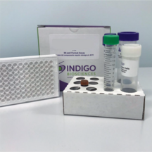 Mouse Liver X Receptor Beta Reporter Assay System (mLXRβ, nr1h2)