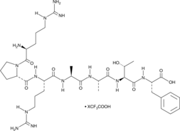 Akt Substrate (trifluoroacetate salt) (RPRAATF)