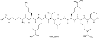 EGFR Peptide (human, mouse) (trifluoroacetate salt) (Arg-Lys-Arg-Thr-Leu-Arg-Arg-Leu-OH, Epidermal Growth Factor Receptor Peptide)