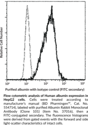 Albumin Rabbit Monoclonal Antibody (Clone 101)