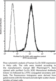 Cu/Zn SOD Monoclonal Antibody (Clone 11) (Cu/Zn Superoxide Dismutase, SOD1)