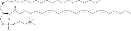 1-1(Z)-Octadecenyl-2-Adrenoyl-sn-glycero-3-PC (C18(plasm)-22:4-PC, 1-1(Z)-Octadecenyl-2-Adrenoyl-sn-glycero-3-Phosphocholine, 1-1(Z)-Octadecenyl-2-Adrenoyl-sn-glycero-3-Phosphatidylcholine, 18p/22:4-PC, PC(P-18:0/22:4))