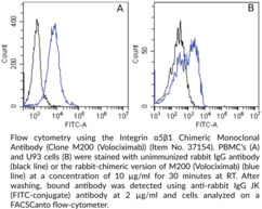 Integrin α5β1 Chimeric Monoclonal Antibody (Clone M200 (Volociximab))