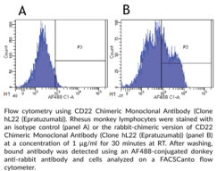 CD22 Chimeric Monoclonal Antibody (Clone hL22 (Epratuzumab))