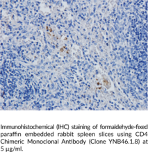CD4 Chimeric Monoclonal Antibody (Clone YNB46.1.8)