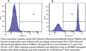 CD4 Chimeric Monoclonal Antibody (Clone YNB46.1.8)