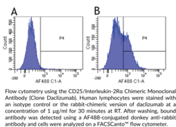CD25/Interleukin-2Rα Chimeric Monoclonal Antibody (Clone Daclizumab)
