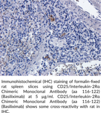 CD25/Interleukin-2Rα Chimeric Monoclonal Antibody (aa 116-122) (Basiliximab)