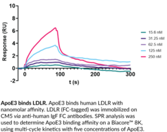 ApoE3 (human, recombinant)