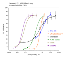 Human Activator Protein-1 Reporter Assay System