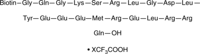 Vimentin (140-160)-biotin Peptide (trifluoroacetate salt) (VIM (140-160)-biotin)