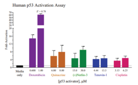 Human Tumor Protein p53 Reporter Assay System (Cellular Tumor Antigen P53, TP53, Tumor Suppressor P53, Tumor Protein P53, Phosphoprotein p53)