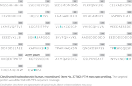 Citrullinated Nucleophosmin (human, recombinant)