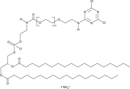 DSPE-PEG(2000) Cyanur (ammonium salt) (CAS Number: 1246304-74-4)