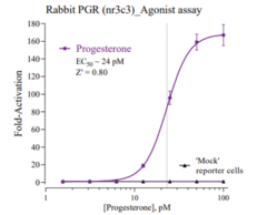 Rabbit Progesterone Receptor Reporter Assay System