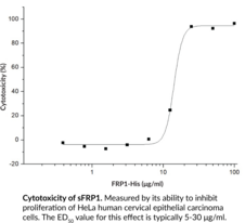 sFRP1 (human, recombinant)