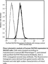 OLFM4 Monoclonal Antibody (Clone 12) (hGC-1, Human Granulocyte Colony-stimulating Factor-stimulated Clone 1, Olfactomedin 4)