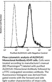 ALDH1A1 Monoclonal Antibody (Clone 5G9E6C9)