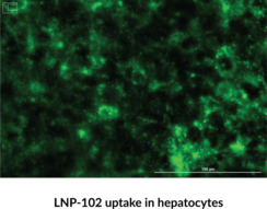 LipidLaunch™ LNP-102 Uptake Kit (Green Fluorescence)