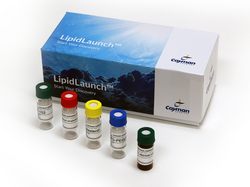 LipidLaunch™ LNP-102 Uptake Kit (Green Fluorescence)