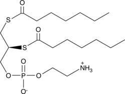 1,2-bis(heptanoylthio)-sn-glycero-3-PE (1,2-bis(heptanoylthio) Glycerophosphoethanolamine, 1,2-bis(heptanoylthio)-sn-glycero-3-Phosphoethanolamine, Diheptanoyl thio-PE)