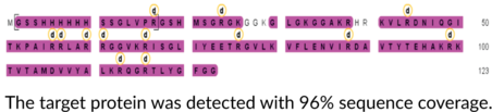 Citrullinated Histone H4 (human, recombinant; His-tagged)