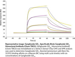 Ganglioside GD1a Monoclonal Antibody (Clone TBG3)