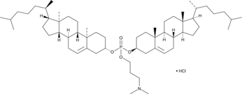 CAP 2 (hydrochloride) (CAP 2-4, Cholesterol-Amino-Phosphate 2)