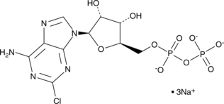 2-Chloroadenosine-5'-O-diphosphate (sodium salt) (2-chloro ADP, CAS Number: 82927-78-4)