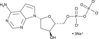 7-Deaza-2' deoxyadenosine-5'-O-diphosphate (sodium salt) (7-CH-dADP, 2'-Deoxytubercidin-5'-O-diphosphate, 5’-dTuDP)