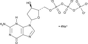 Guanine-2'-deoxy-β-L-ribofuranosyl-5'-O-triphosphate (sodium salt) (β-L-dGTP, L-2'-Deoxyguanosine 5'-triphosphate, 2’-deoxy-L-GTP)