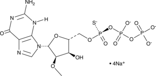 Rp-2'-O-Methylguanosine-5'-O-(1-thiotriphosphate) (sodium salt) (Rp-2'-O-Me-GTP-α-S)