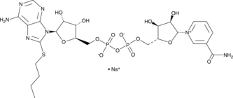 8-butylthio NAD+ (sodium salt) (8-butylthio Nicotinamide adenine dinucleotide, β-Nicotinamide-8-butylthioadenine dinucleotide, CAS Number: 2022926-17-4)