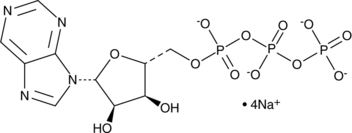Purine riboside-5'-O-triphosphate (sodium salt) (PRTP, Purine Riboside Triphosphate, PTP, PuTP, CAS Number: 35892-95-6)