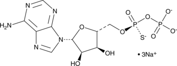 Sp-Adenosine-5'-O-(1-thiodiphosphate) (sodium salt) (Sp-ADP-α-S, CAS Number: 2005478-90-8)